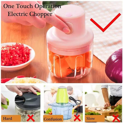 KolorFish Electric Mini Chopper 250ml Electric Vegetable Chopper